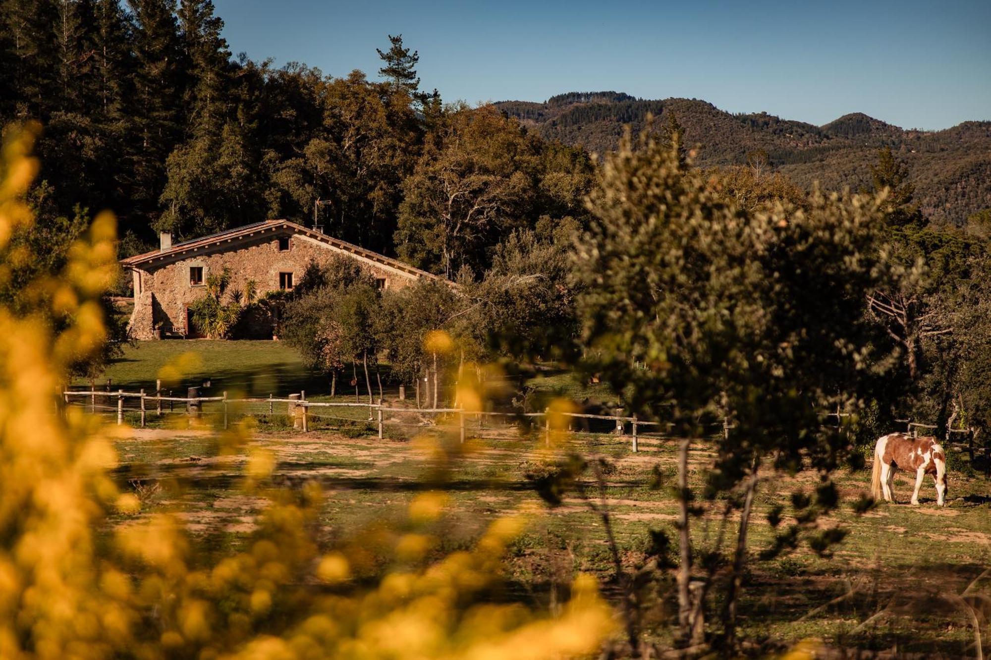 Turisme rural la Paradella  Arbúcies Exterior foto